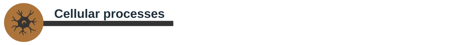 Section header banner reading "Cellular processes", with a neuron cell icon.