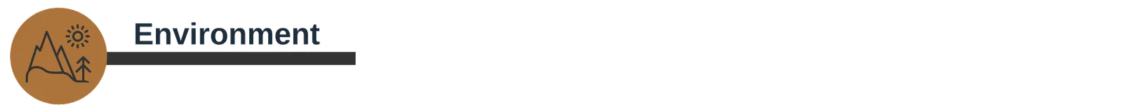 Section header banner reading "Environment", with a mountains-and-sun icon.