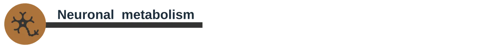 Section header banner reading "Neuronal metabolism", with a neuron icon.
