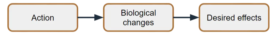 Three-box flowchart illustrating the biohacking principle: an action leads to biological changes inside the body, which produce the desired effects.