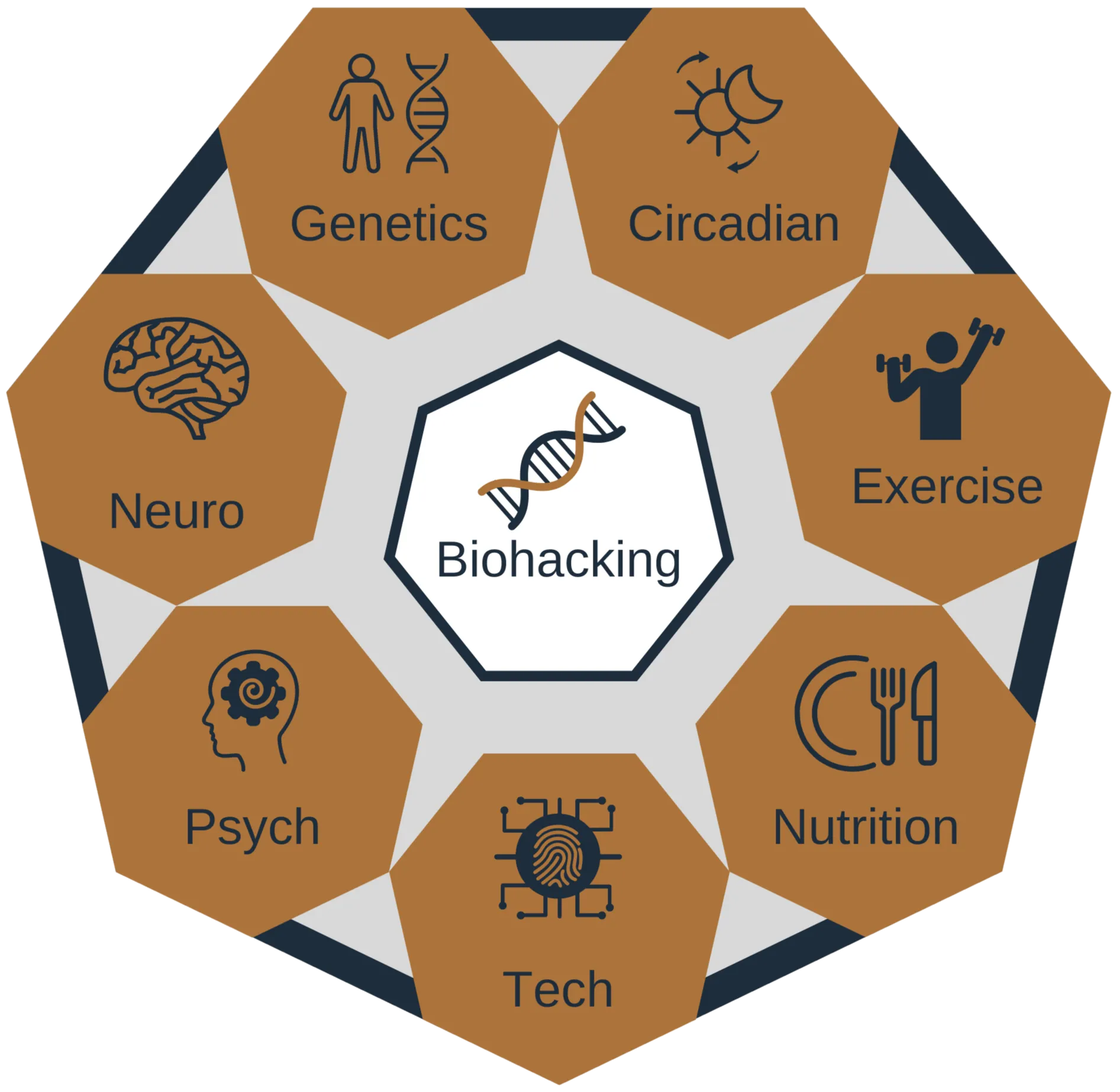 Octagonal diagram of the major fields within biohacking — genetics, circadian rhythm, exercise, nutrition, technology, psychology and neuroscience — arranged around a central DNA helix labelled Biohacking.