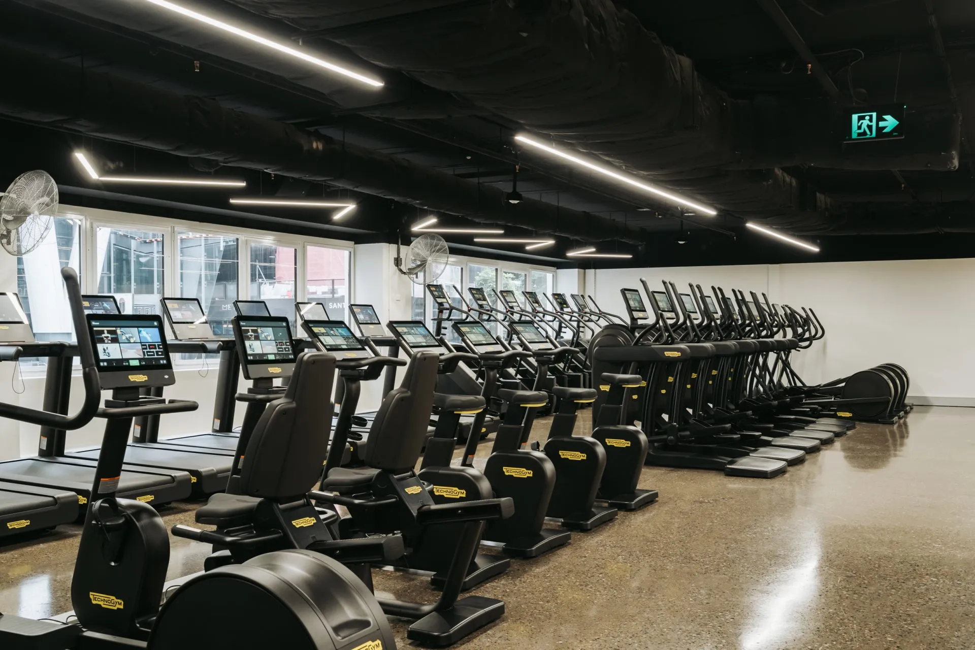 The cardio floor from its far end: rows of upright and recumbent bikes in the foreground, treadmills along the window wall to one side and a long run of cross-trainers receding to the other, under fine lines of light on a black ceiling.