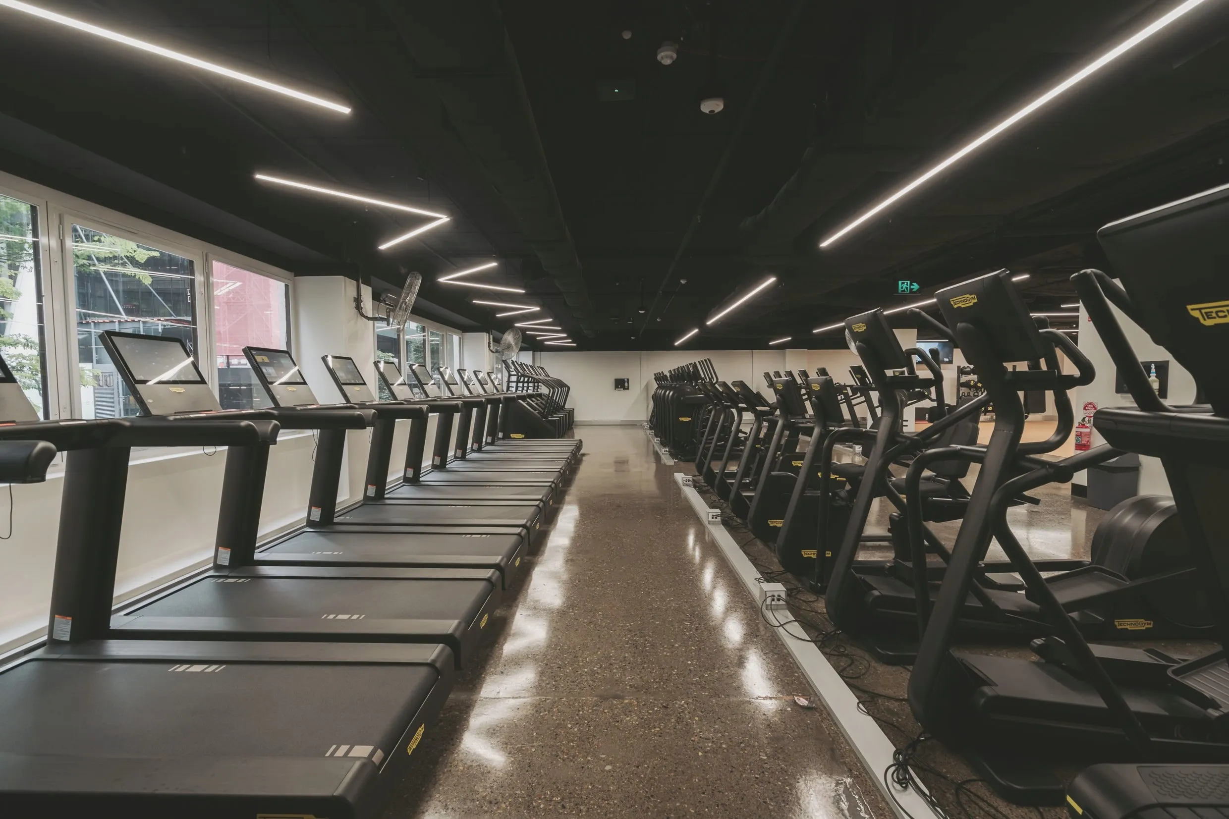 The cardio floor: a run of treadmills along the windows with climbers and cross-trainers opposite, under fine lines of light and a black ceiling.