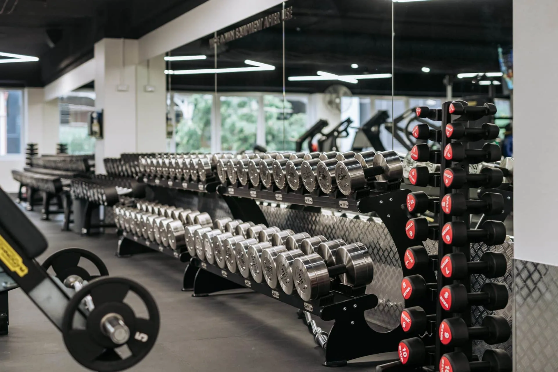 A twin tier of chrome round-head dumbbells running the length of its rack on the free-weights floor, a stand of red rubber dumbbells in the near foreground, a loaded barbell and bench to one side, and the mirrored wall reflecting the cardio machines beyond.