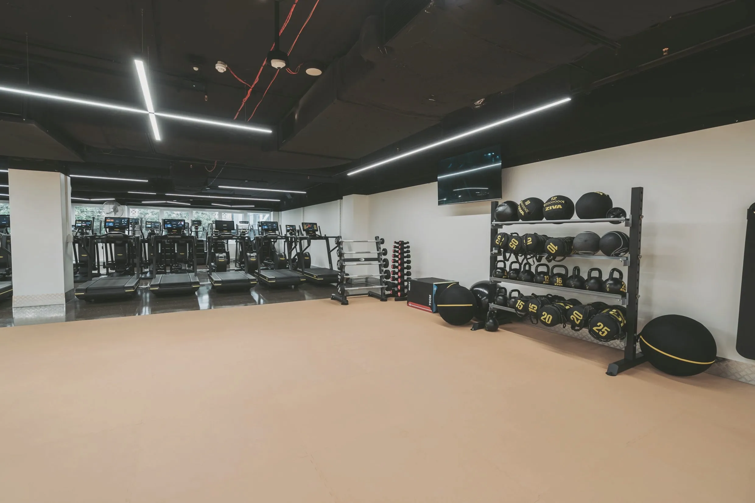 The functional-training zone: matted floor, racks of wall balls and kettlebells, dumbbells, a plyometric box and treadmills behind.