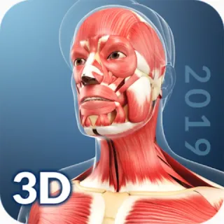 My Muscle Anatomy app icon