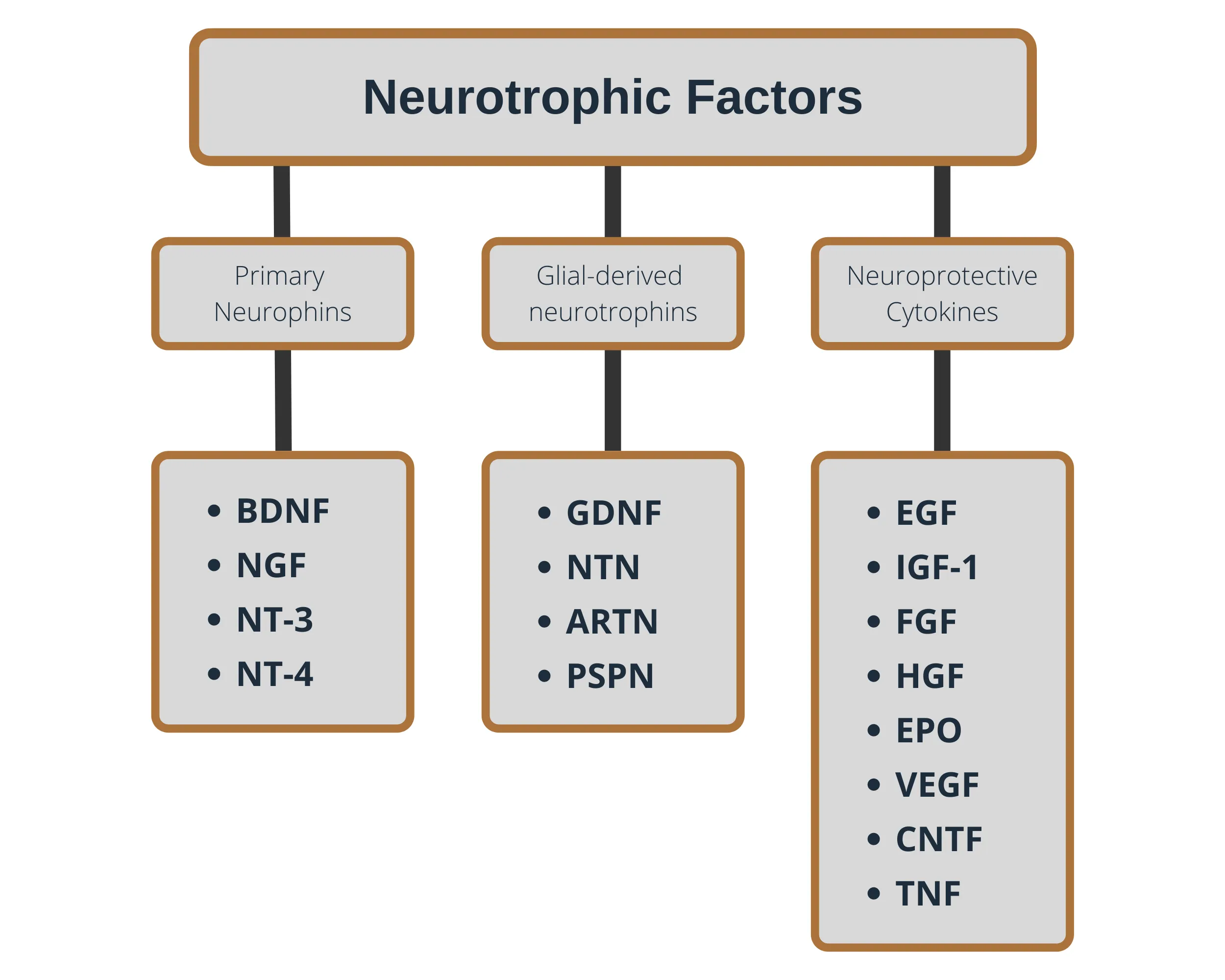 Classification chart of neurotrophic factors in three groups: primary neurotrophins (BDNF, NGF, NT-3, NT-4), glial-derived neurotrophins (GDNF, NTN, ARTN, PSPN) and neuroprotective cytokines (EGF, IGF-1, FGF, HGF, EPO, VEGF, CNTF, TNF).