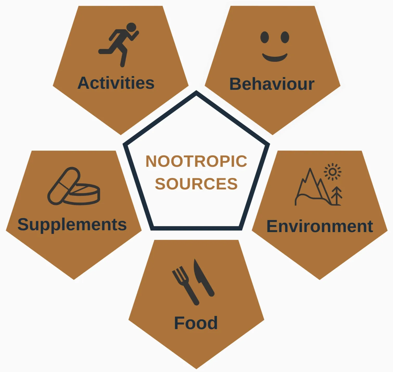 Diagram titled Nootropic Sources with five petals around a central pentagon, naming the five categories of nootropic source — Activities, Behaviour, Environment, Food and Supplements — each with an icon.