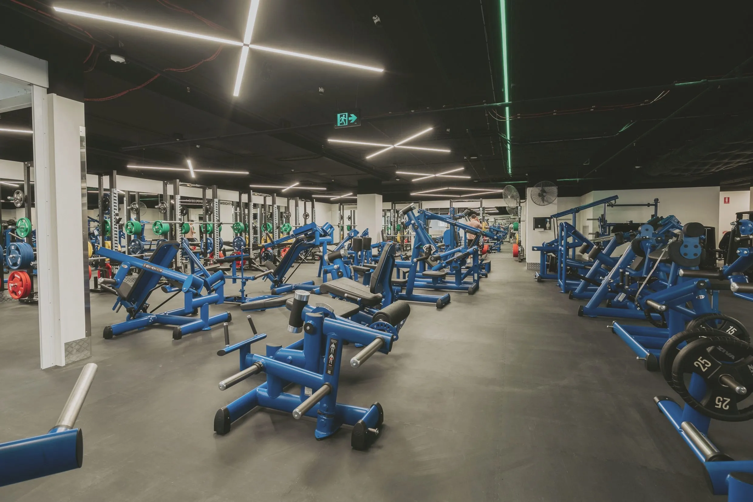 Rows of blue plate-loaded strength machines across the machine floor, racks and colour-coded plates in the distance.