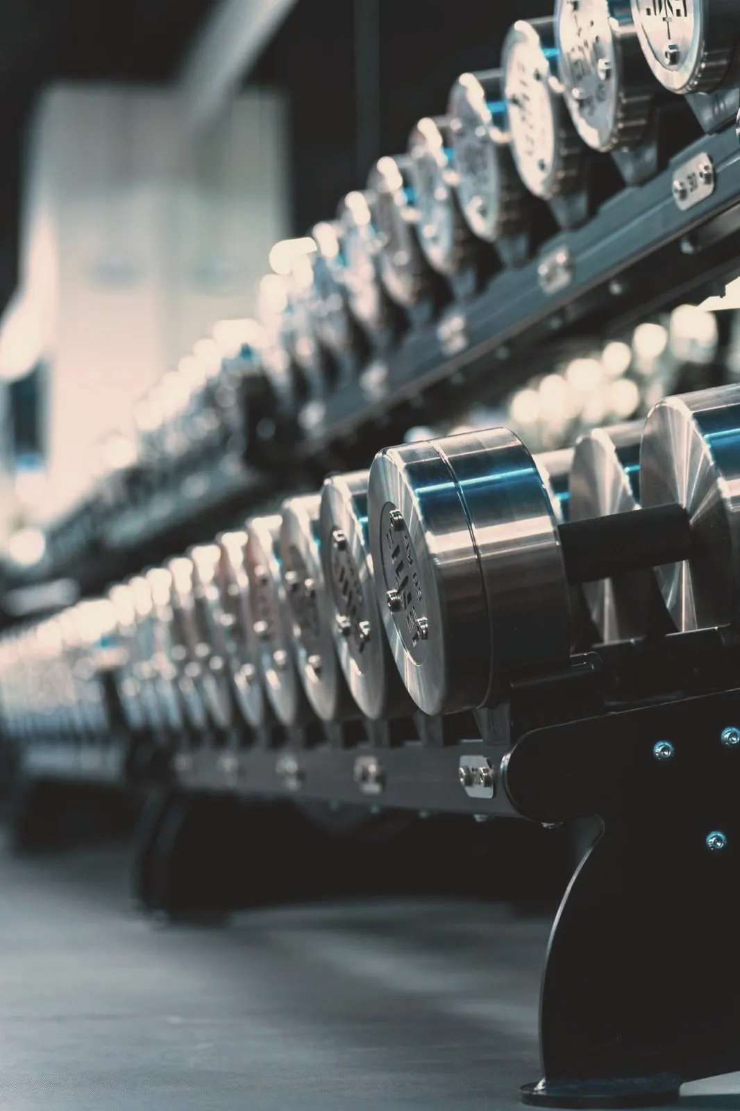 A row of machined-steel dumbbells receding along its rack, the nearest faces in focus.