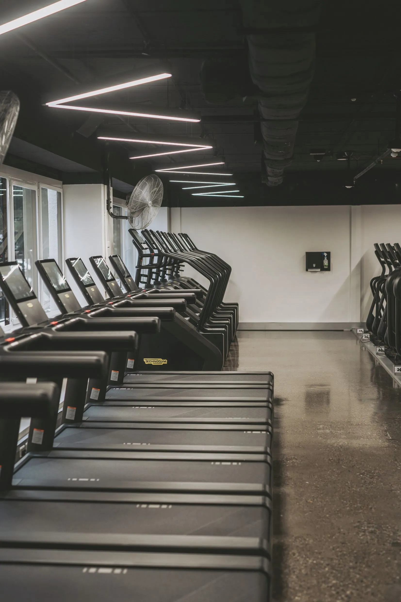 Treadmills in profile along the cardio floor, screens raised, cross-trainers in the background.